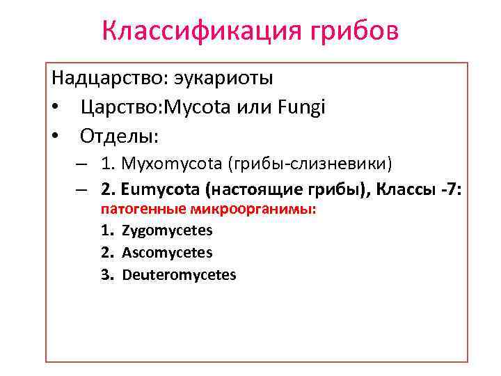 Классификация грибов Надцарство: эукариоты • Царство: Mycota или Fungi • Отделы: – 1. Myxomycota