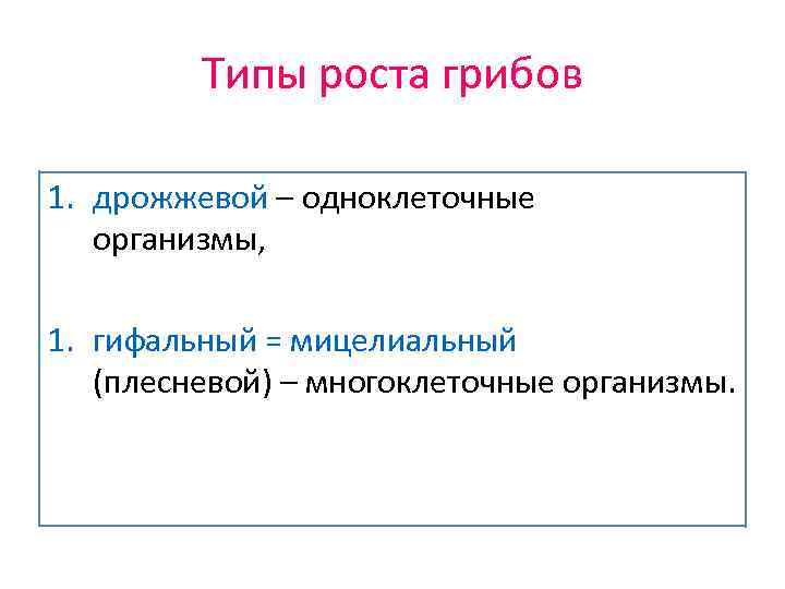 Типы роста грибов 1. дрожжевой – одноклеточные организмы, 1. гифальный = мицелиальный (плесневой) –