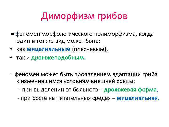 Диморфизм грибов = феномен морфологического полиморфизма, когда один и тот же вид может быть: