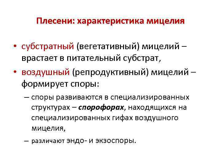 Плесени: характеристика мицелия • субстратный (вегетативный) мицелий – врастает в питательный субстрат, • воздушный