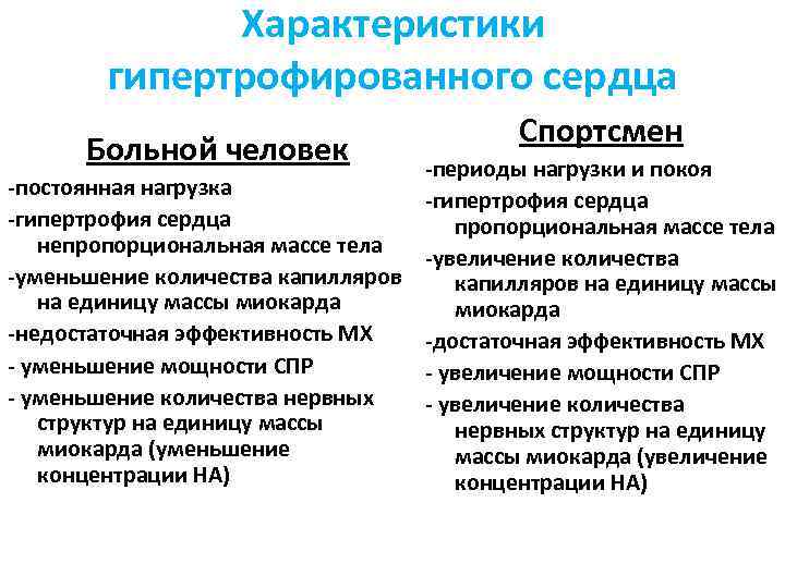 Характеристики гипертрофированного сердца Больной человек Спортсмен -периоды нагрузки и покоя -постоянная нагрузка -гипертрофия сердца