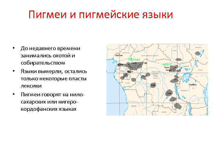 Пигмеи и пигмейские языки • До недавнего времени занимались охотой и собирательством • Языки