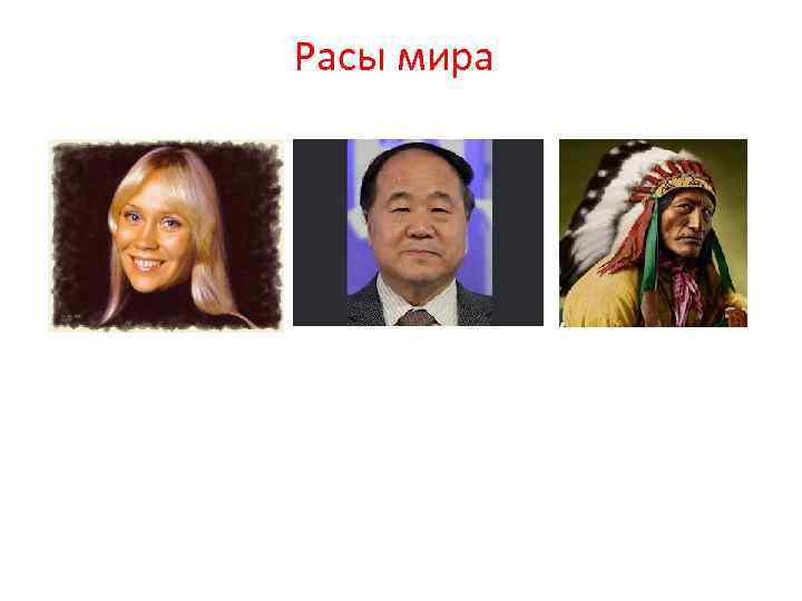 Расы мира 