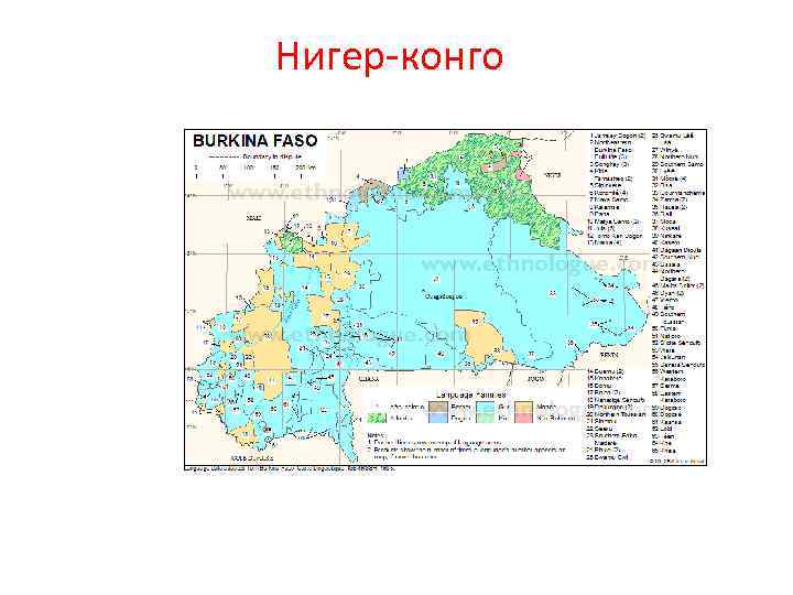 Нигер-конго 