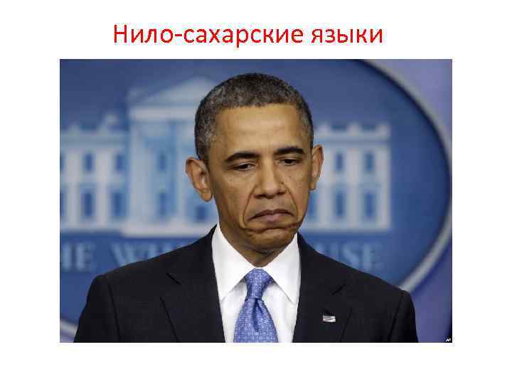 Нило-сахарские языки 