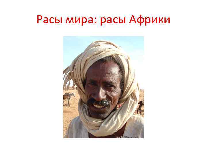 Расы мира: расы Африки 