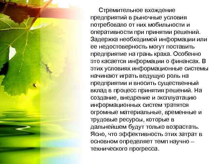 Стремительное вхождение предприятий в рыночные условия потребовало от них мобильности и оперативности принятии решений.