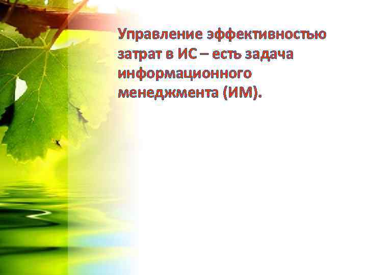 Управление эффективностью затрат в ИС – есть задача информационного менеджмента (ИМ). 