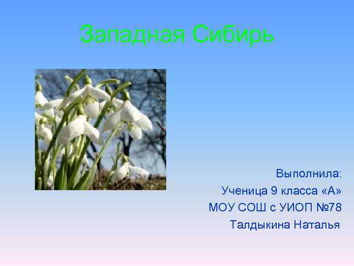 Западная Сибирь Выполнила: Ученица 9 класса «А» МОУ СОШ с УИОП № 78 Талдыкина