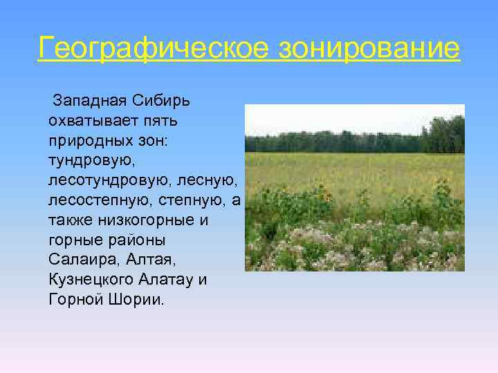 Географическое зонирование Западная Сибирь охватывает пять природных зон: тундровую, лесотундровую, лесную, лесостепную, а также