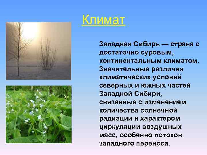 Климат Западная Сибирь — страна с достаточно суровым, континентальным климатом. Значительные различия климатических условий