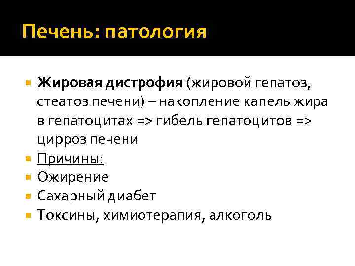 Печень: патология Жировая дистрофия (жировой гепатоз, стеатоз печени) – накопление капель жира в гепатоцитах