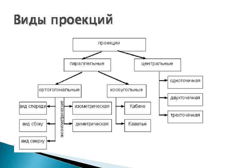 Виды проекций 