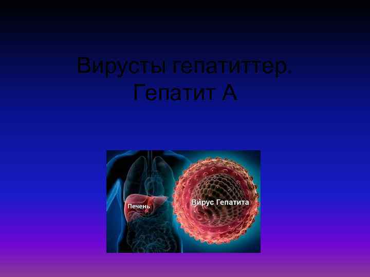Вирусты гепатиттер. Гепатит А 
