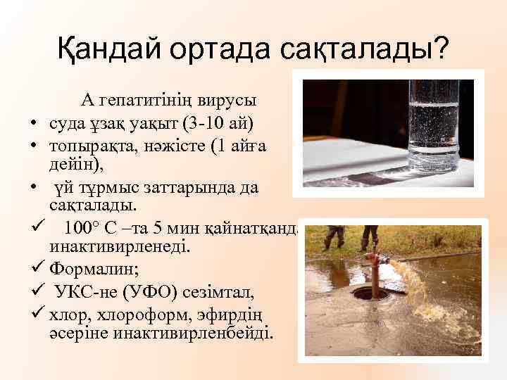 Қандай ортада сақталады? А гепатитінің вирусы • суда ұзақ уақыт (3 -10 ай) •
