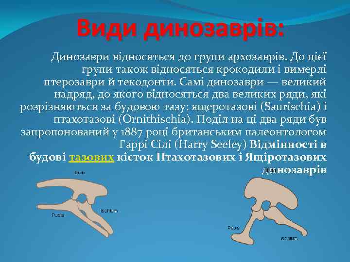 Види динозаврiв: Динозаври відносяться до групи архозаврів. До цієї групи також відносяться крокодили і