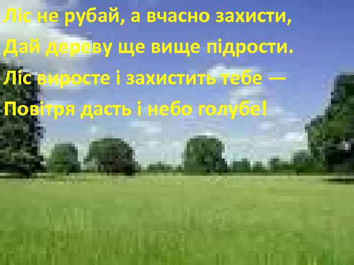 Ліс не рубай, а вчасно захисти, Дай дереву ще вище підрости. Ліс виросте і