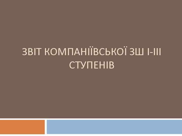 ЗВІТ КОМПАНІЇВСЬКОЇ ЗШ І-ІІІ СТУПЕНІВ 