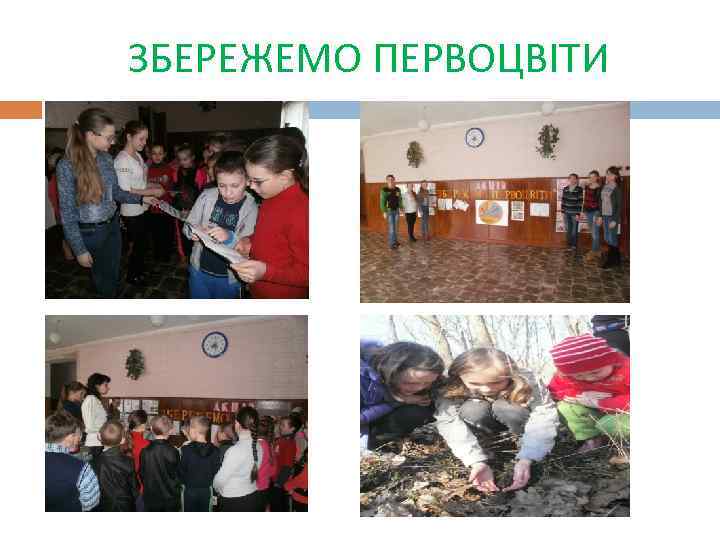ЗБЕРЕЖЕМО ПЕРВОЦВІТИ 