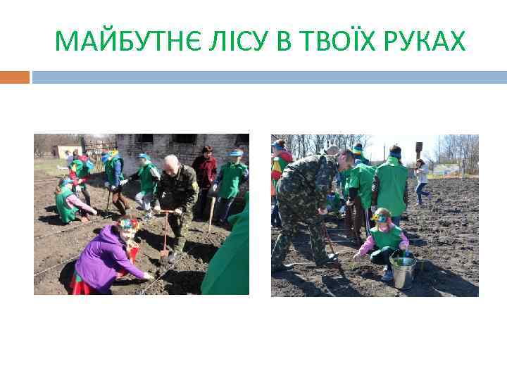 МАЙБУТНЄ ЛІСУ В ТВОЇХ РУКАХ 