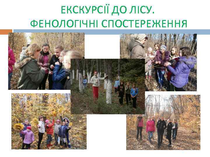 ЕКСКУРСІЇ ДО ЛІСУ. ФЕНОЛОГІЧНІ СПОСТЕРЕЖЕННЯ 