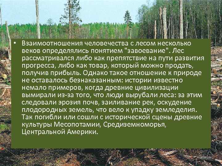 Элементы леса перечислить