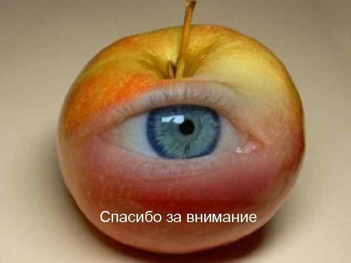 Спасибо за внимание 