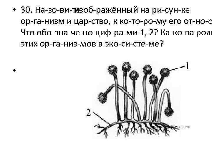  • 30. На зо ви те изоб ражённый на ри сун ке ор