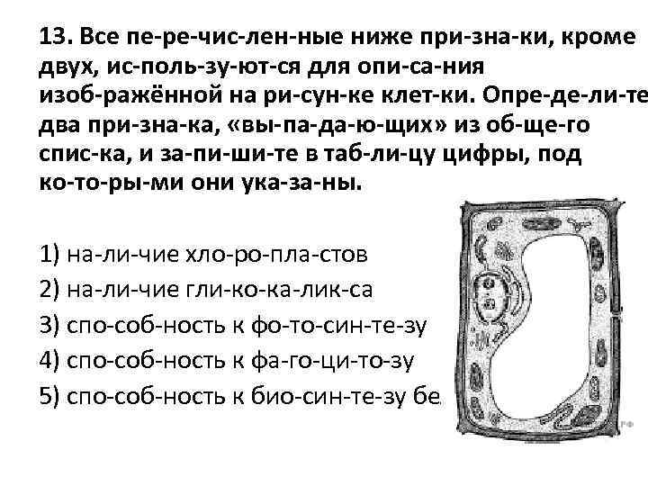 13. Все пе ре чис лен ные ниже при зна ки, кроме двух, ис