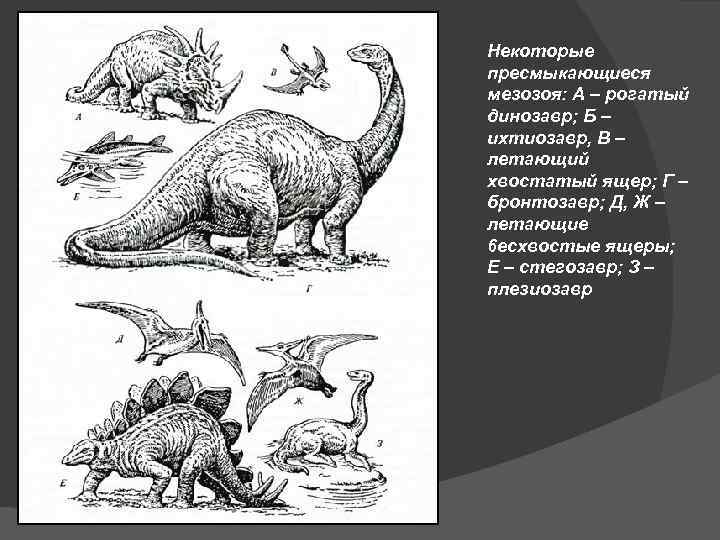 Расцвет рептилий в мезозое и возможные причины исчезновения динозавров презентация