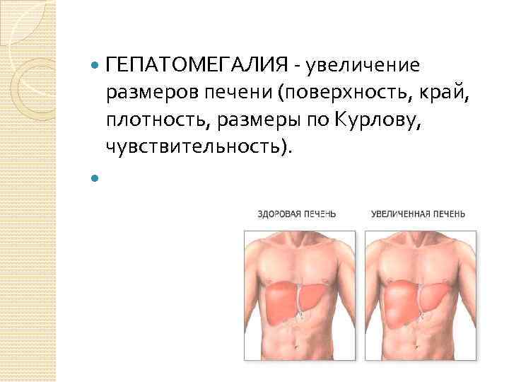 Эхографическая картина гепатомегалии