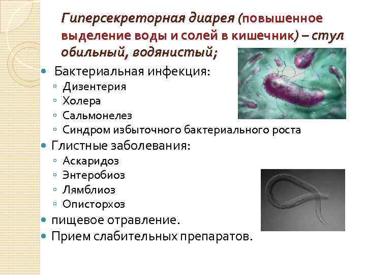 Как лечить сибр кишечника схема