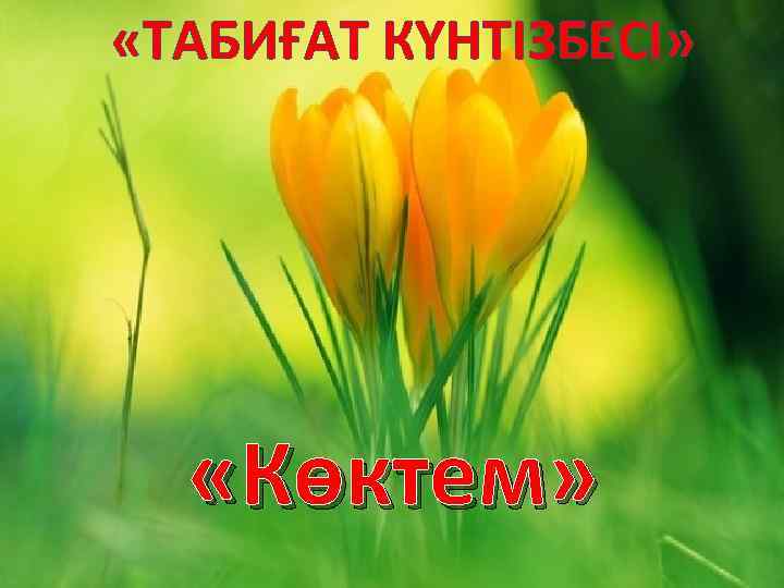  «ТАБИҒАТ КҮНТІЗБЕСІ» «Көктем» 