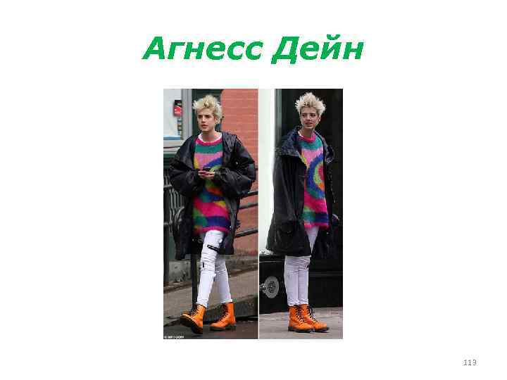 Агнесс Дейн 113 