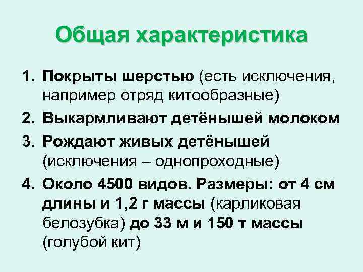 Общая характеристика 1. Покрыты шерстью (есть исключения, например отряд китообразные) 2. Выкармливают детёнышей молоком