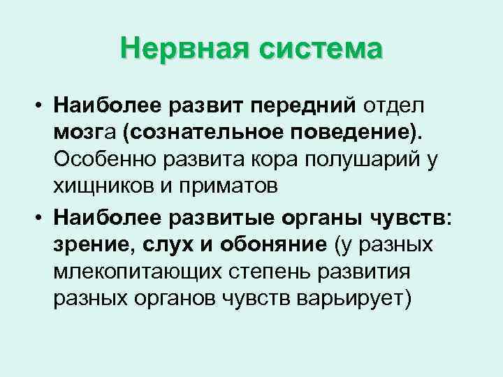 Особенно развиты