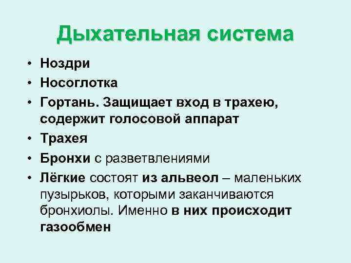 Дыхательная система • Ноздри • Носоглотка • Гортань. Защищает вход в трахею, содержит голосовой