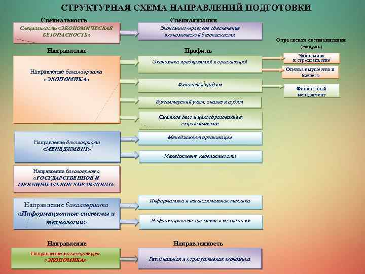 СТРУКТУРНАЯ СХЕМА НАПРАВЛЕНИЙ ПОДГОТОВКИ Специальность «ЭКОНОМИЧЕСКАЯ БЕЗОПАСНОСТЬ» Направление Специализация Экономико-правовое обеспечение экономической безопасности Профиль