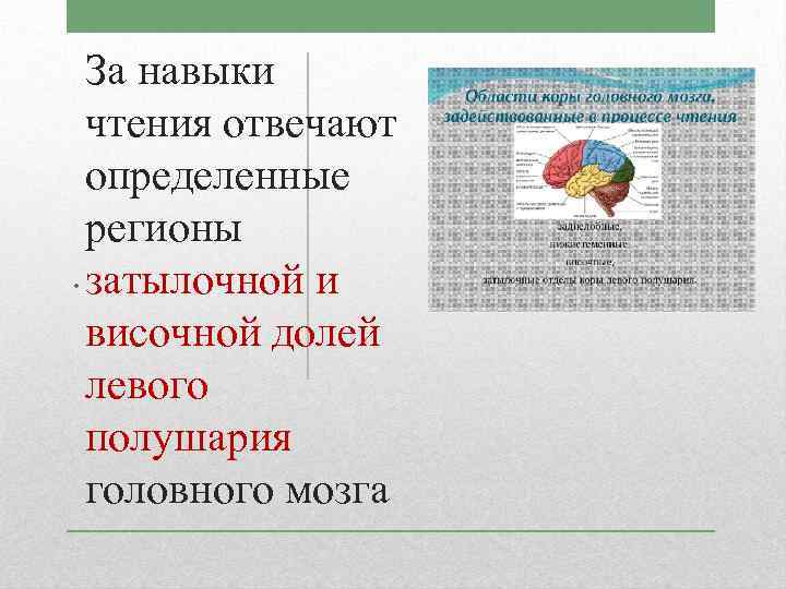 За навыки чтения отвечают определенные регионы. затылочной и височной долей левого полушария головного мозга