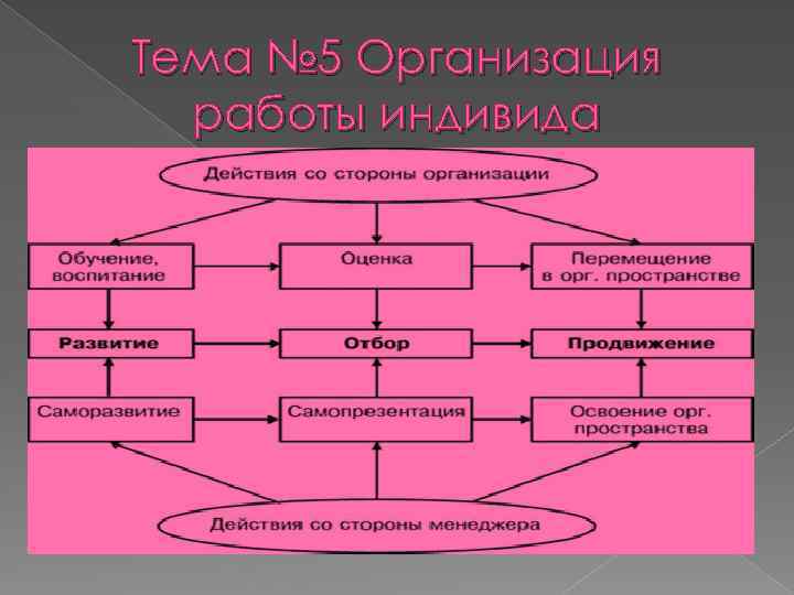 Тема № 5 Организация работы индивида 