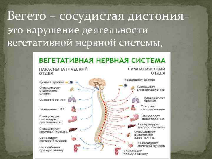 Расстройство вегетативной нервной системы