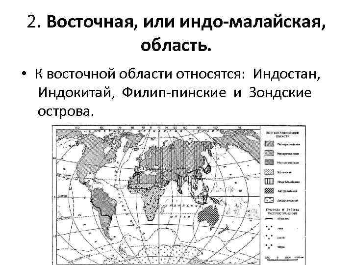 Индо малайская область презентация