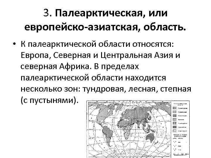 3. Палеарктическая, или европейско-азиатская, область. • К палеарктической области относятся: Европа, Северная и Центральная