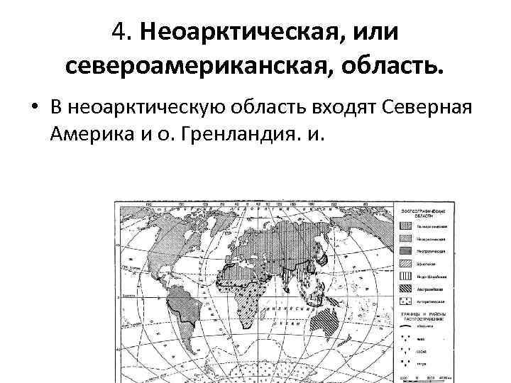 4. Неоарктическая, или североамериканская, область. • В неоарктическую область входят Северная Америка и о.