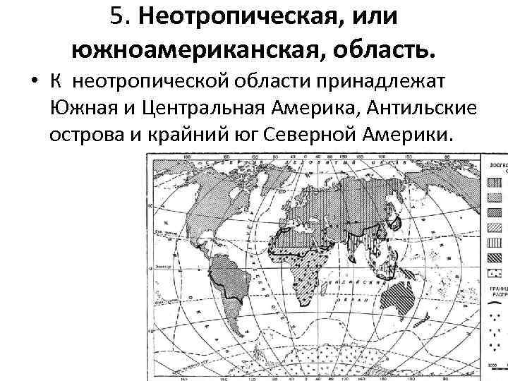 5. Неотропическая, или южноамериканская, область. • К неотропической области принадлежат Южная и Центральная Америка,