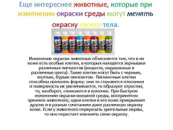 Еще интереснее животные, которые при изменении окраски среды могут менять окраску своего тела. Изменение