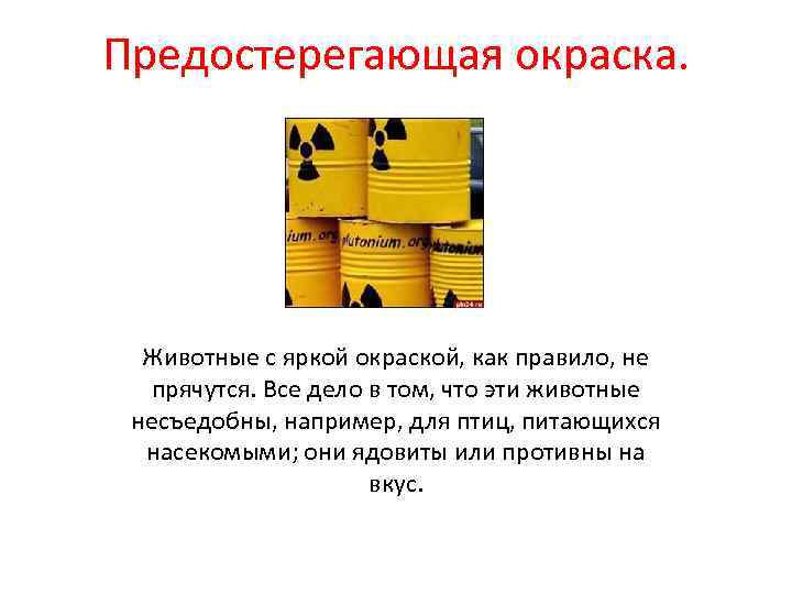 Предостерегающая окраска. Животные с яркой окраской, как правило, не прячутся. Все дело в том,