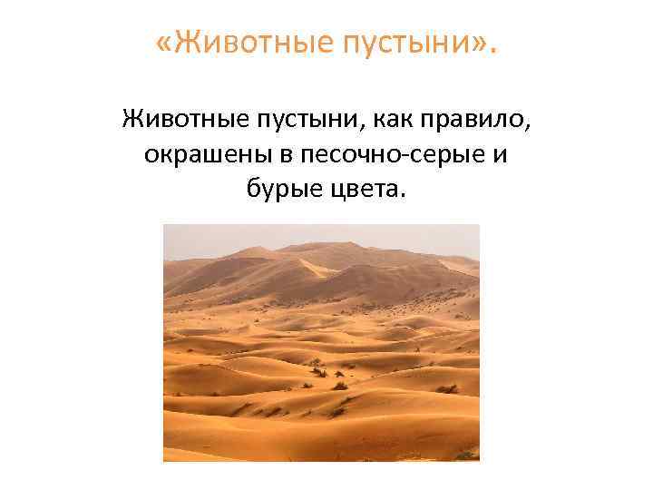  «Животные пустыни» . Животные пустыни, как правило, окрашены в песочно-серые и бурые цвета.