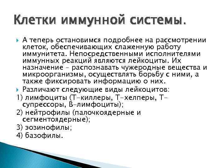 Клетки иммунной системы. А теперь остановимся подробнее на рассмотрении клеток, обеспечивающих слаженную работу иммунитета.