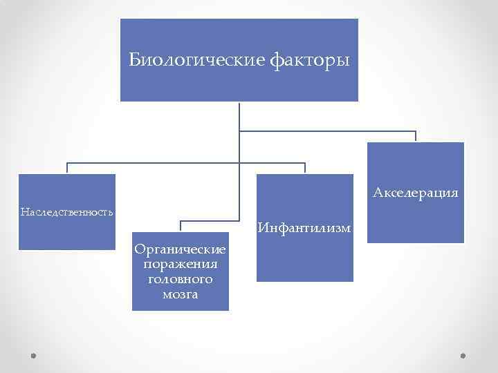 Биологические факторы Акселерация Наследственность Инфантилизм Органические поражения головного мозга 